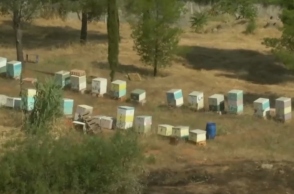 Αθώος ο μελισσοκόμος που συνελήφθη για εμπρησμό στο Άλσος Βεΐκου	