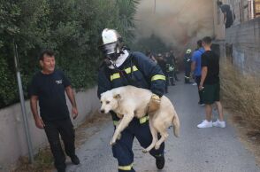 Μεγάλη η φωτιά σε εργοστάσιο στο Ηράκλειο: Καίγονται τρία σπίτια, μήνυμα του 112 για τους καπνούς