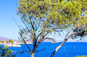 Καιρός σήμερα: Σ τους 36 βαθμούς Κελσίου η θερμοκρασία με ανέμους έως και 8 μποφόρ στο Αιγαίο