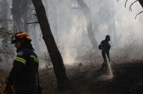 Φωτιά στο Ωραιόκαστρο
