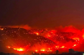 Πυρκαγιές στην Καλαβρία: Εμπρηστές έδεναν υφάσματα σε γάτες και τις έβαζαν φωτιά