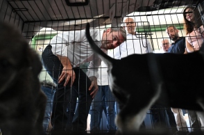 Ο Νίκος Ανδρουλάκης επισκέφτηκε τον σταθμό φιλοξενίας πυρόπληκτων ζώων στα Μέγαρα
