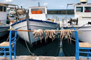 «Γιατί οι Τούρκοι συρρέουν στα ελληνικά νησιά;»: Άρθρο του Ντ. Ζεϊρέκ στην τουρκική εφημερίδα «Nefes»	