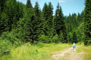 Wellness, κρασί και φύση: Ανακαλύπτοντας τη μαγεία της Δράμας