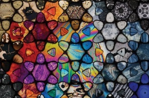 «Phenomena» του Τζόζεφ Γκάτι, Διαγωνιστικό Τμήμα, 32ες Νύχτες Πρεμιέρας