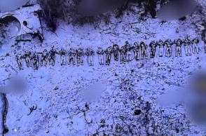 πτωματα στρατιωτών