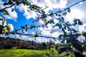 Καιρός: Ηλιοφάνεια με παροδικές νεφώσεις