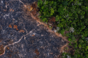 Η αποψίλωση του Αμαζονίου στη Βραζιλία έσπασε νέο ρεκόρ το πρώτο εξάμηνο του 2022,