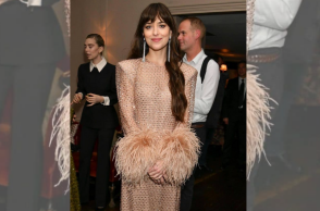 3 party inspo outifits από την Ντακότα Τζόνσον