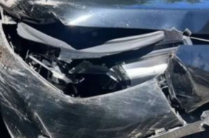 Γρεβενά: Ι.Χ. συγκρούστηκε με αρκούδα – Σώος ο οδηγός
