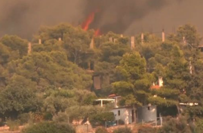 Σε πύρινο κλοιό η Δυτική Αττική: Καίγονται σπίτια στην Ψάθα, 112 για απομάκρυνση προς Μέγαρα 