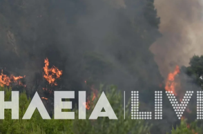 Φωτιά σε δάσος στο Μουζάκι Ηλείας – Μεγάλη κινητοποίηση της Πυροσβεστικής