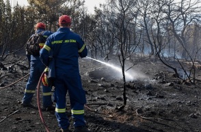 Πυρκαγιά σε δασική έκταση 