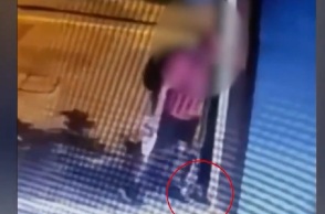 «Δεν το έκανα εγώ, είμαι μορφωμένος», λέει ο 40χρονος που φέρεται να πάτησε το γατάκι