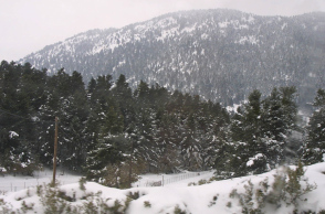 Στα «λευκά» o Παρνασσός