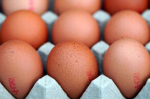 Είδος πολυτελείας γίνονται τα αυγά στη Βρετανία