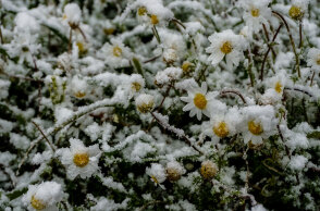Συνεχίζεται ο παγετός 