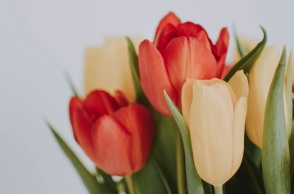 Εορτολόγιο: Σήμερα, 14 Ιανουαρίου 2025 γιορτάζει…