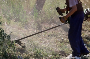 Δήμος Αθηναίων, εργατης κοβει χορτα