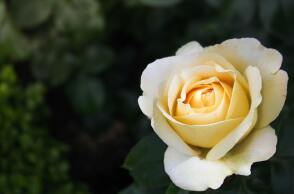 Εορτολόγιο: Σήμερα, 26 Ιουνίου, γιορτάζει