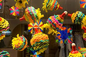 Paolia, "Undomesticated"