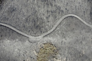 Aerial view of a burnt forest in Evros, Greece.