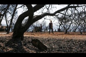 Μάτι | ΑΠΟΣΤΟΛΗ | Εδώ KAHKAN ζωντανοί! | Ιδιοκτήτρια οικοπέδου