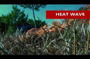 Major Heat Wave Hits Quebec, Ontario,  Canada And United States July 4th, 2018