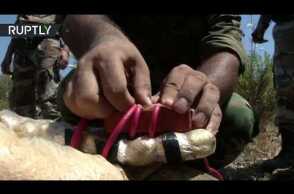 Syrian army sappers detonate explosives near Latakia