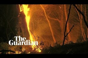 Australia fires: out of control bushfires continue to burn near Canberra