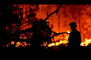 Fallen heroes and Australians impacted by bushfires commemorated at state memorial
