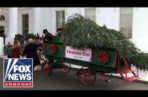 Trump, First Lady receive the White House Christmas Tree