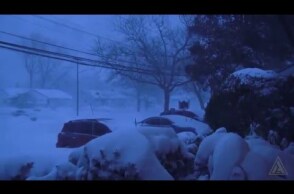 Snow Storm Blizzard - Long Island, New York 2016