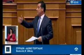 Άδωνις - Βουλή