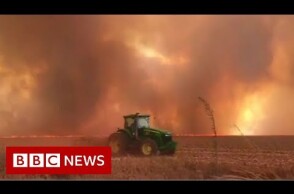 Spike in wildfires in Brazil's Amazon rainforest - BBC News