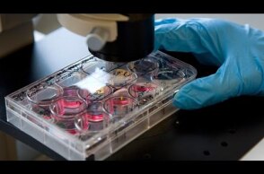 FDA approves new cancer-fighting drug