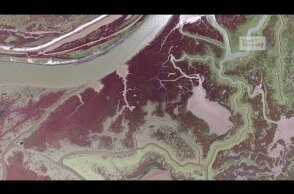 Το μαγευτικό Δέλτα του Αξιού από ψηλά | Axios River Delta Drone Greece