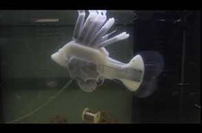 Soft robotic fish swimming