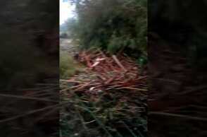 Zona salviano Livorno. Bomba d'acqua della notte fra il 9-10 settembre 2017