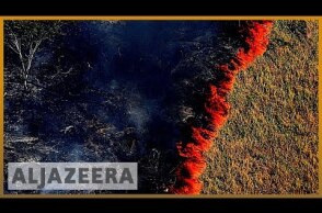 Amazon burning: Brazil reports record surge in forest fires