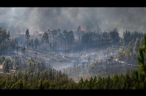 Aftermath of forest fires in central Portugal