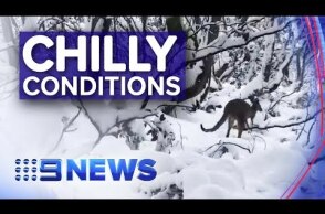 Victoria hit with a wintry blast | Nine News Australia