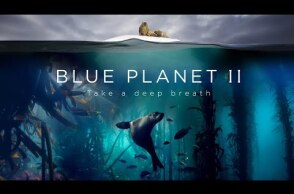Blue Planet II : The Prequel