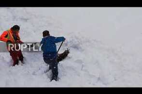 Watch as rail workers rescue goat buried under snow in Austria