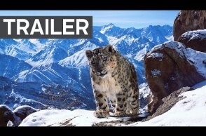 Planet Earth II: Official Extended Trailer | BBC Earth
