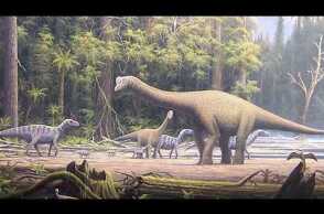 Mnyamawamtuka moyowamkia dinosaur discovery