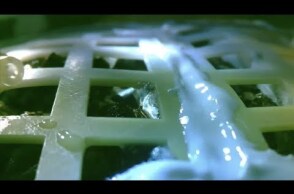 Chang’e-4 biological experiment - the first cotton sprout on the far side of the Moon