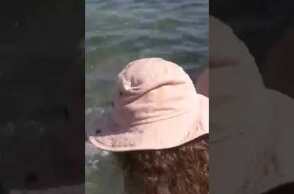 EviaZoom.gr - Χαλκίδα: Ξιφίας βγήκε στα ρηχά στη Πλαζ Αστέρια