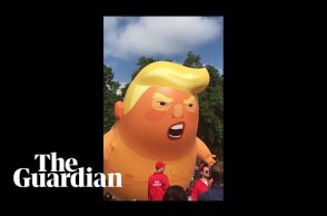 Trump baby blimp ready to take off