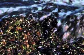 Η αρχή της ιστορίας #11